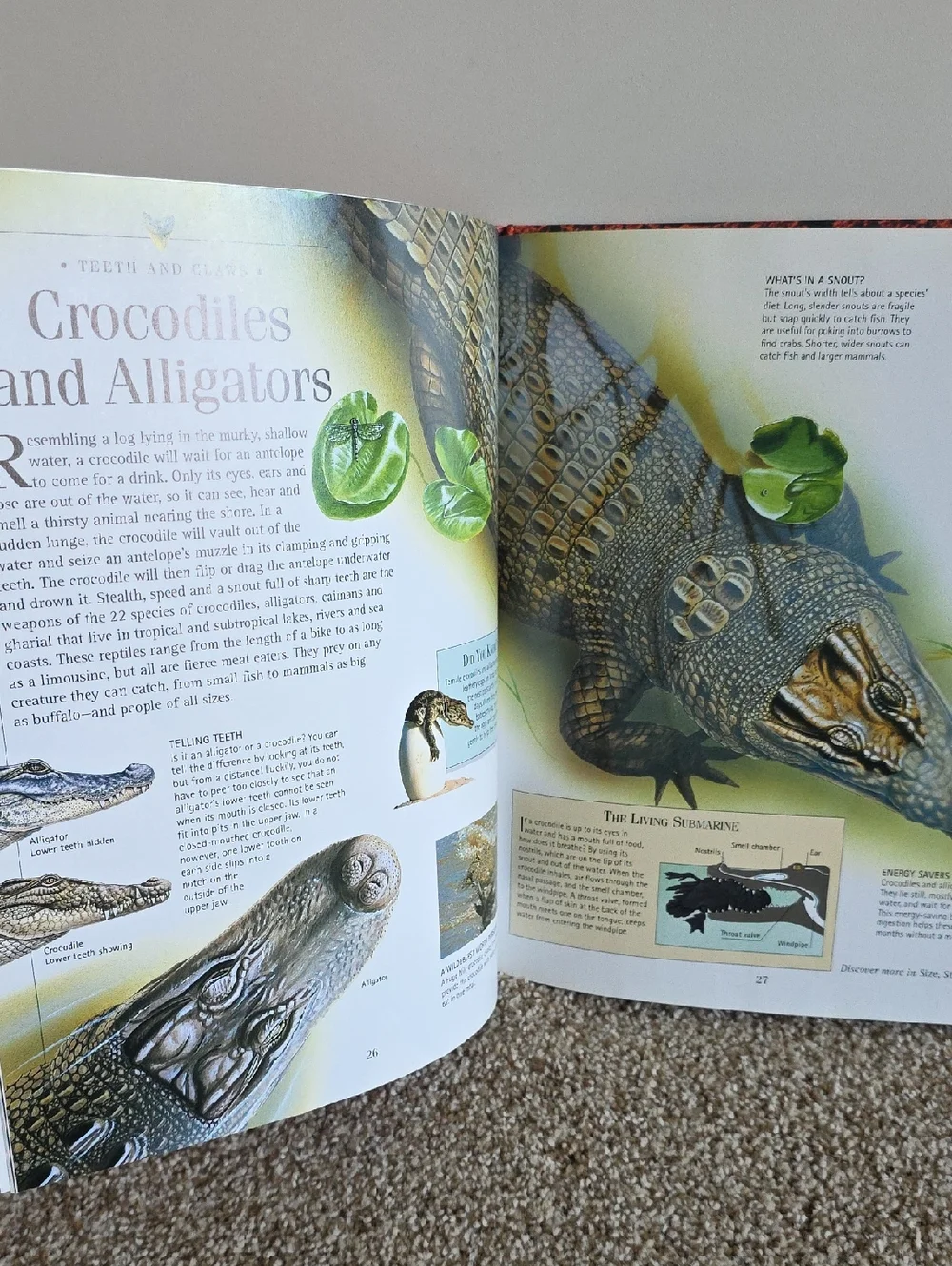 Children's Animal Book Set Dangerous Animals, Elephants, Bears, Giraffes, Rhinos